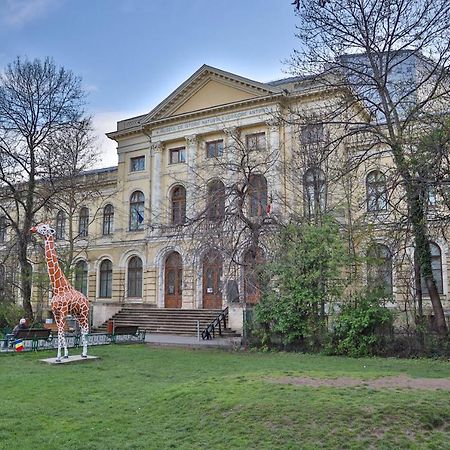 Oak Apartment - Piata Victoriei 부쿠레슈티 외부 사진