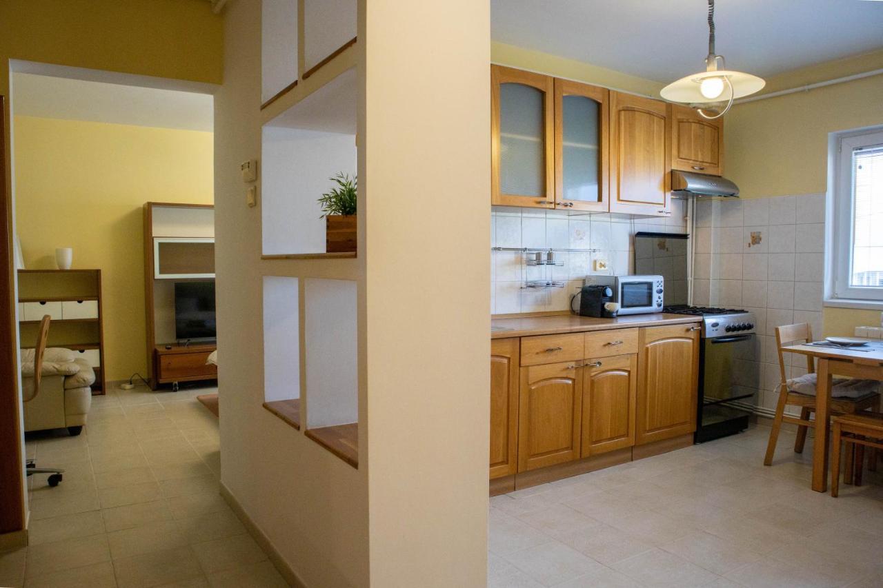 Oak Apartment - Piata Victoriei 부쿠레슈티 외부 사진
